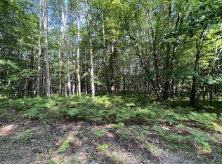 6249 Abbey Ln, Stanwood, MI 49346