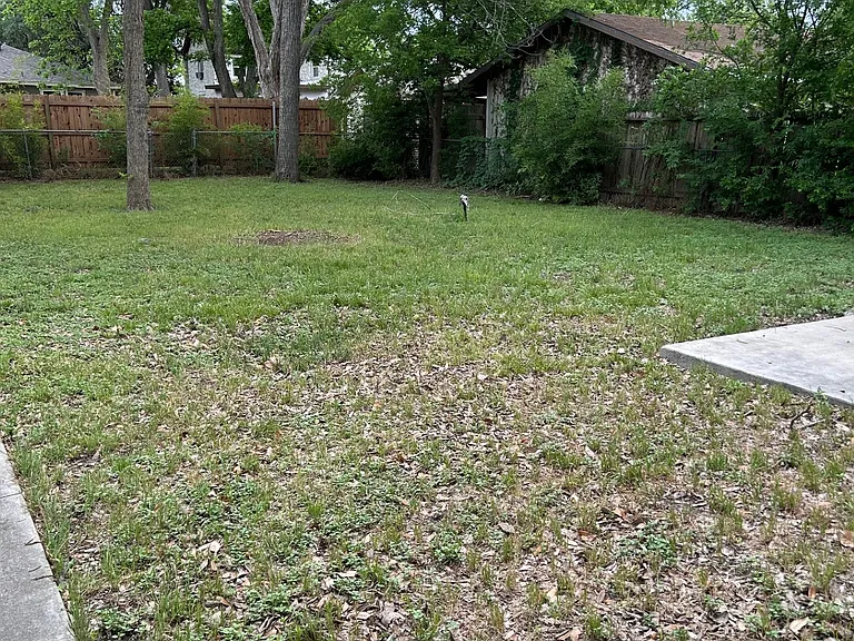 1007 Palm St — Photo 15