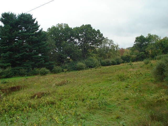 2nd image of Hawkins Rd