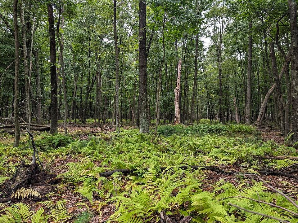 1st image of 873 Burns Rd