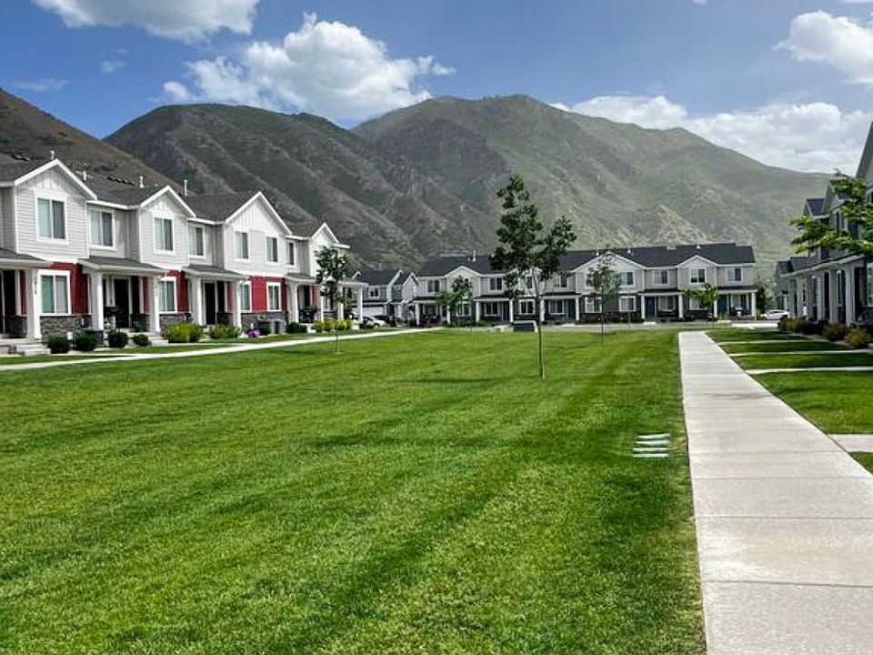 Grass park/ play area for pets and kids