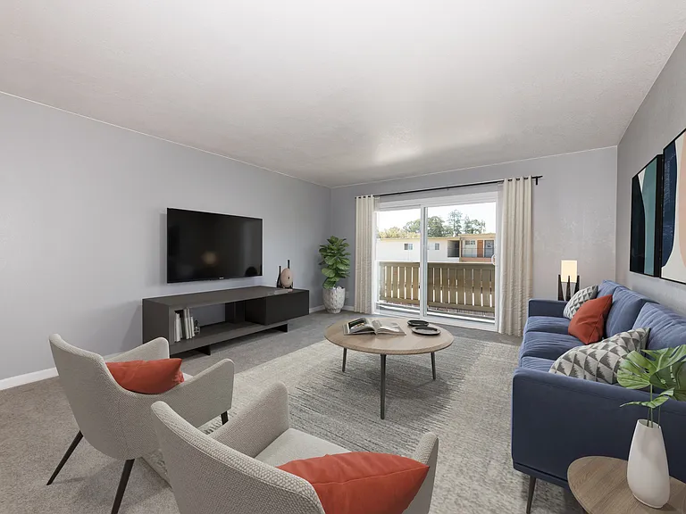 1 Bedroom Apartment