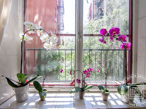 4th image of 377 Broome St APT 5
