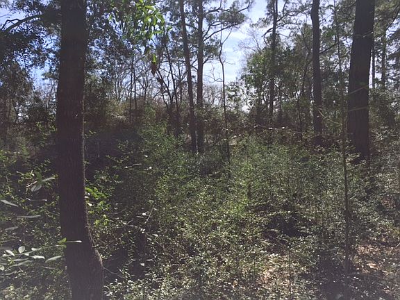 3rd image of 0 Burnett Ln
