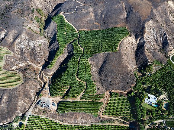 3rd image of 915 E Telegraph Rd