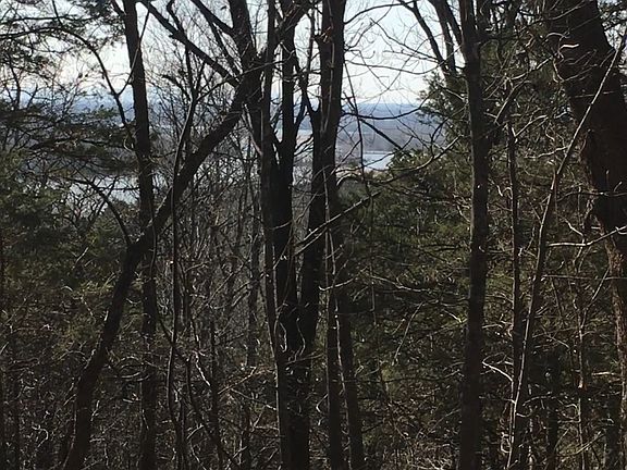 3rd image of E Tollantusky Dr