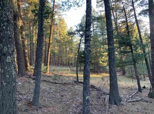 42 Cowan Rd, Mayhill, NM 88339