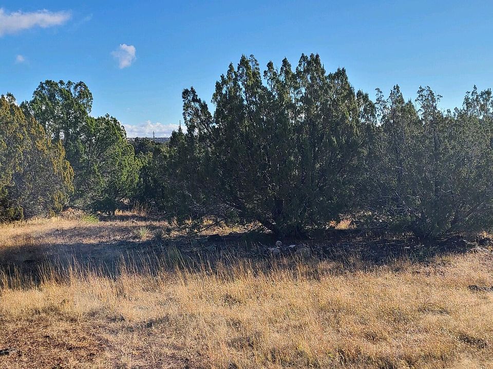 2nd image of 8513 Quail Run Dr