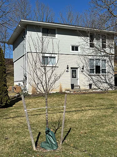 118 Sutherland St E #LOWER Photo 1