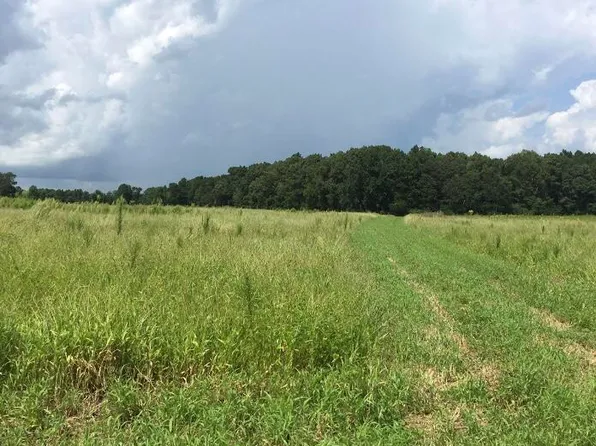 30.42 Ac Atlantic Breeze Drive, North Myrtle Beach, SC 29582