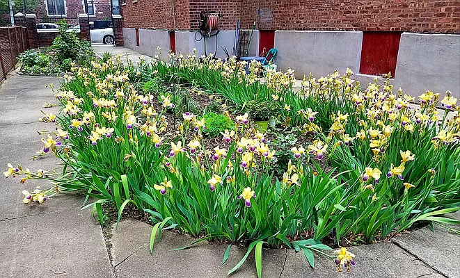 Sold by Douglas Elliman | media 12