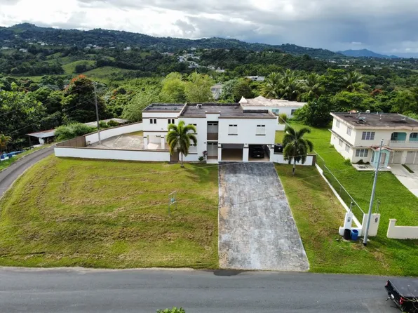 183 Sector Los Cruces Bo Montones #I, Las Piedras, PR 00771