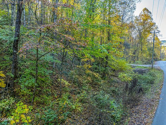 3rd image of 11 Long Hollow Rd Lot 11