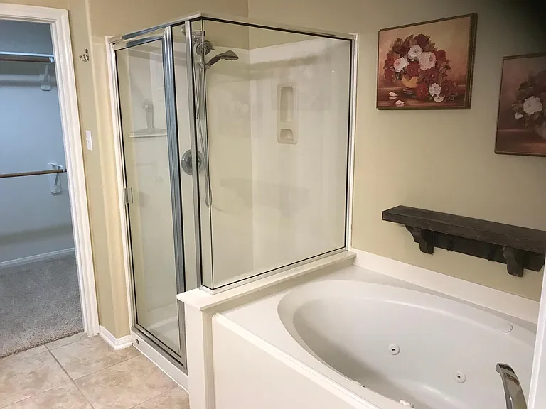 Master Bathroom pic 2