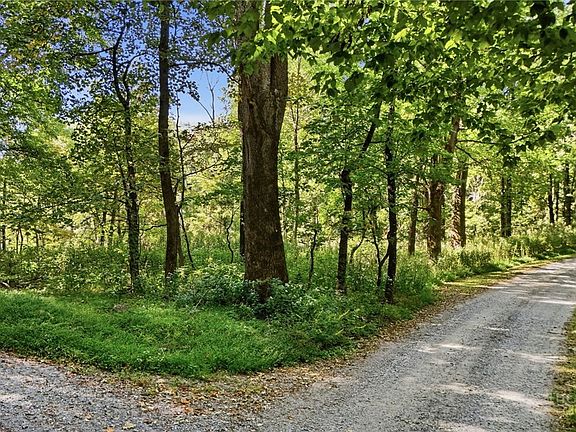 2nd image of Off Rocky Knob Tower Road