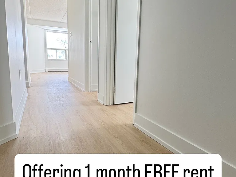 56 Donald St #305 — Photo 12