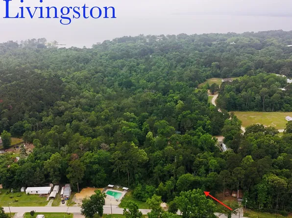 Impala Dr, Onalaska, TX 77360