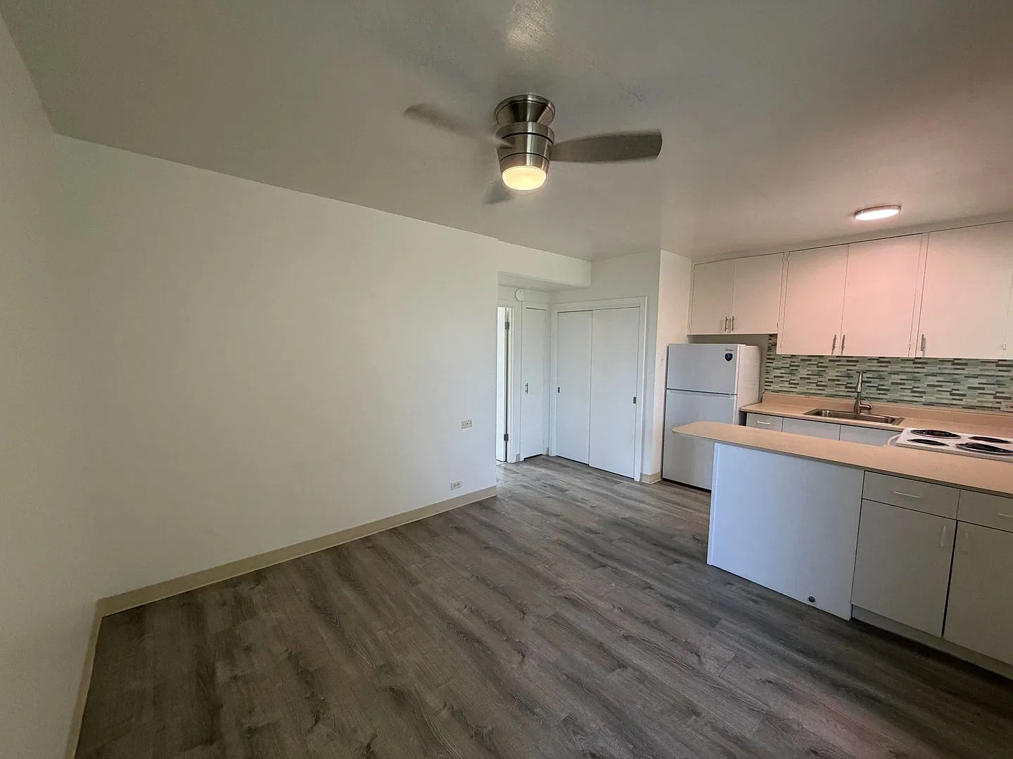 1621 Anapuni — Photo 2
