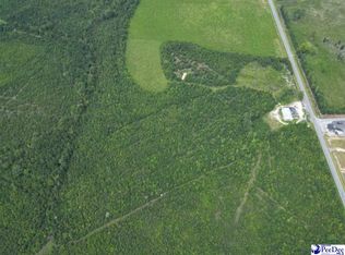 1428 Johnsonville Hwy, Lake City, SC 29560