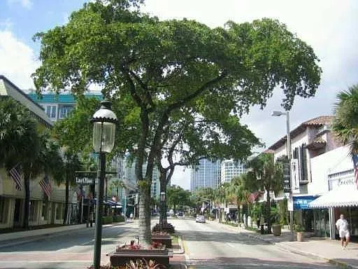 1515 E Broward Blvd #305 — Photo 34