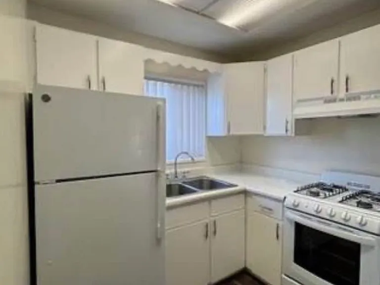 116 Palm Ave #13 — Photo 2