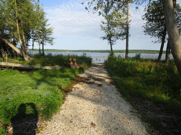 V/l Co Rd #135, Mc Millan, MI 49853