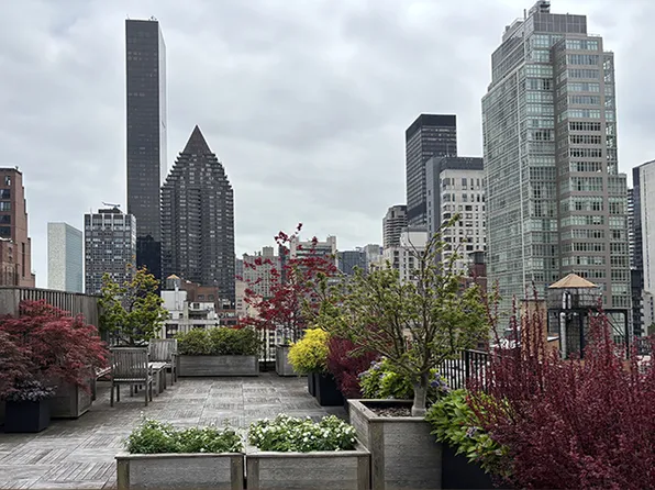 333 East 53rd Street image 17 of 22