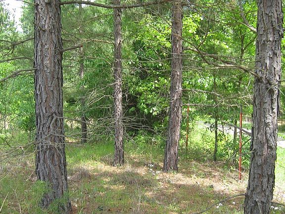 4th image of 13319B County Road 4336