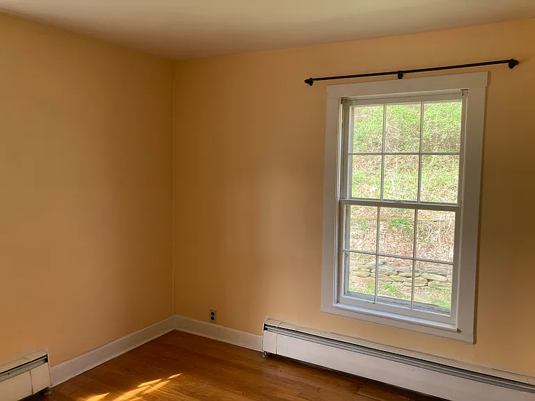 Downstairs bedroom