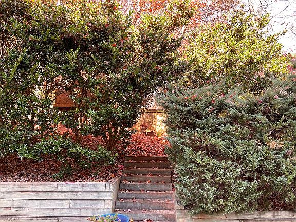 Backyard Lots of Privacy