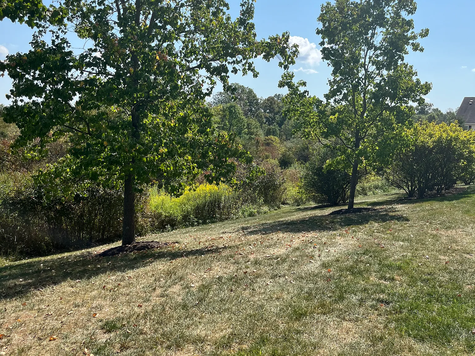 2 bed, 1200 sqft, $1,925 — Photo 3