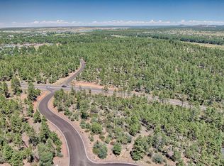 1525 S Twin Peak Trl, Show Low, AZ 85901