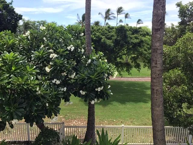 Aliinui Dr — Photo 41