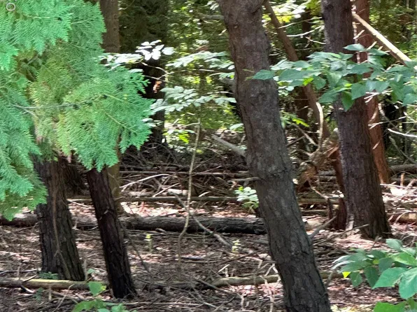 2935 Gary Rd, Montrose, MI 48457