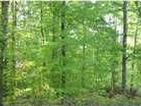20 Riverside Dr, Palmyra, VA 22963