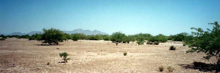 Landscape