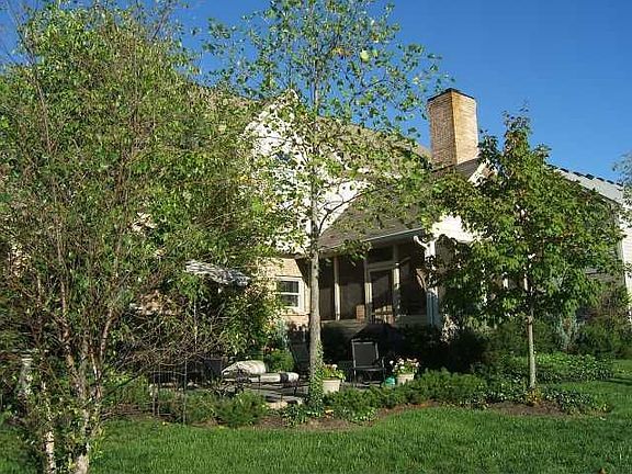 Back yard