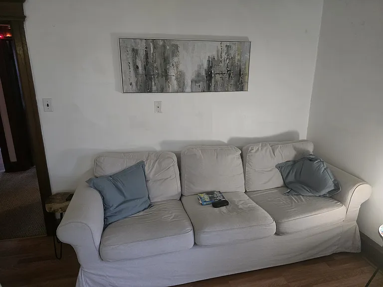 Family Room Couch