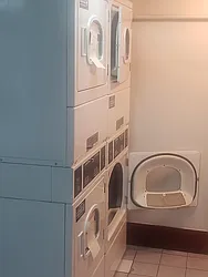 Rented by Old Brooklyn Real Estate Inc