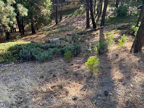 4th image of 2270 El Dorado Dr