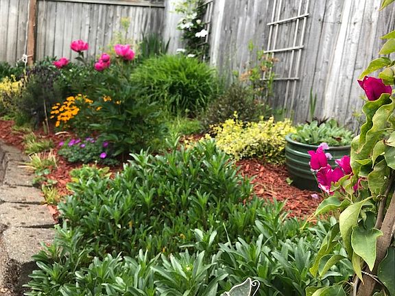 Backyard oasis