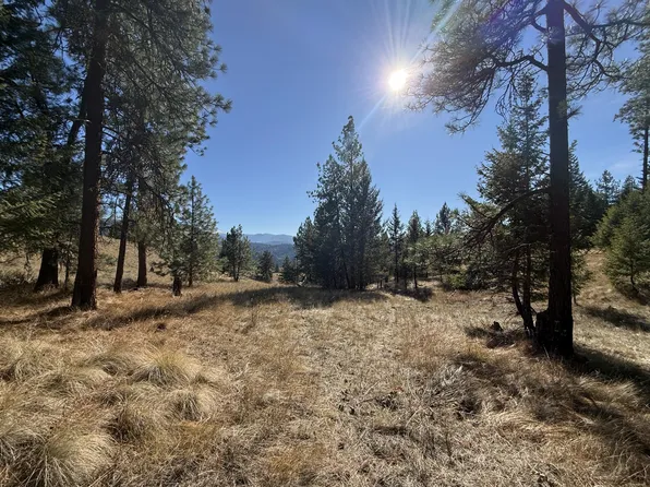 Shade Tree Rd, Republic, WA 99166