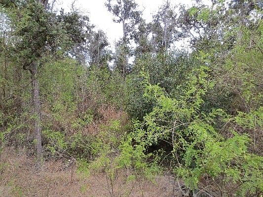 1st image of Paradise Pkwy Lot 17