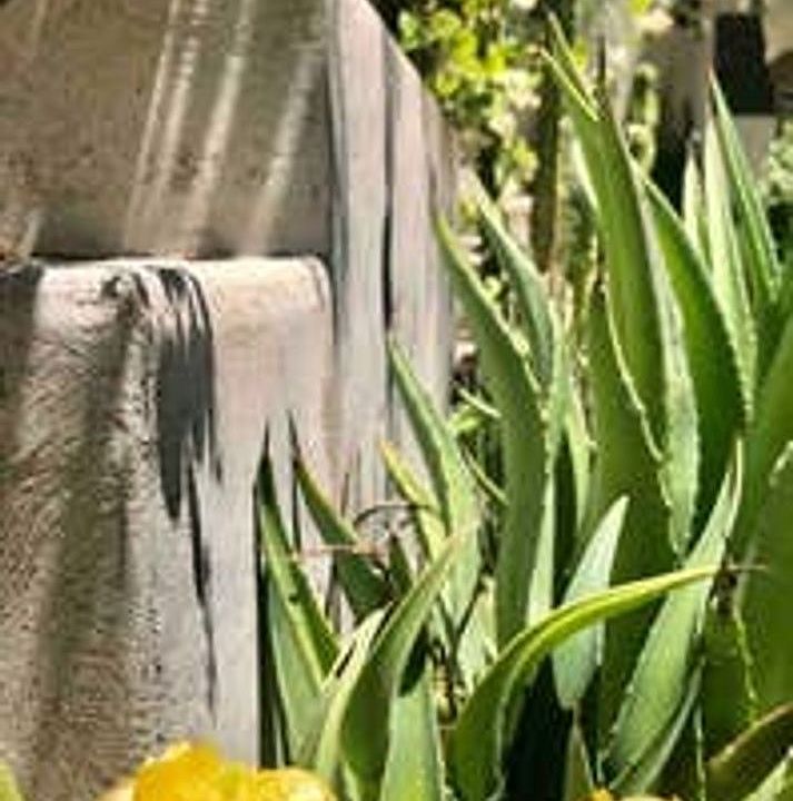 Greenwich Apartments 1916 N Mesa St El Paso TX Zillow