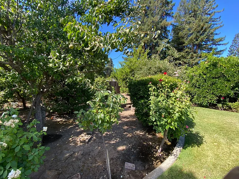 507 Walnut Ct — Photo 16