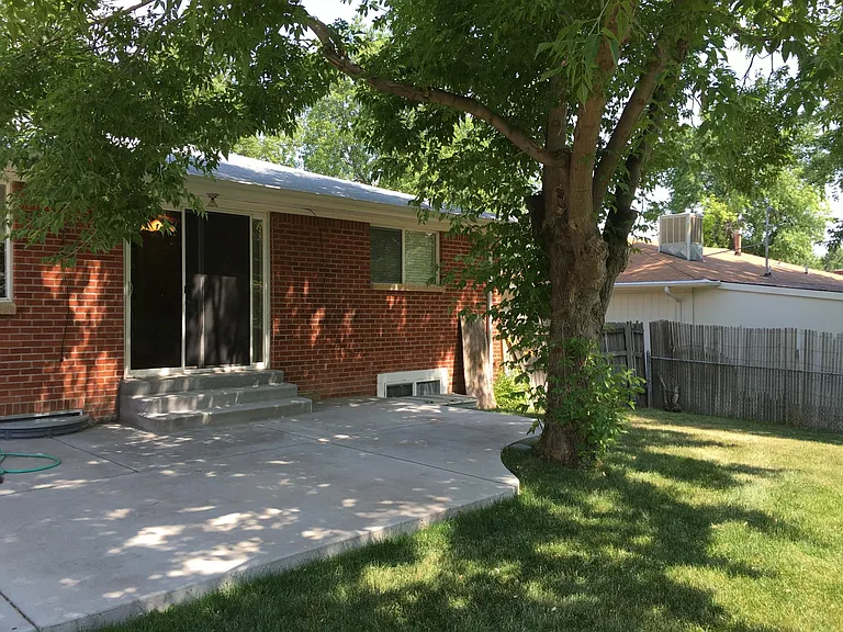 Back deck and yard