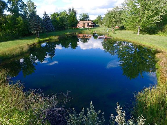 Your very own pond with natural springs