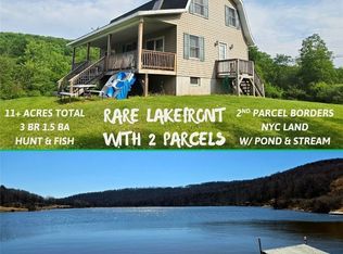 81 Lake Shore Dr, South Kortright, NY 13842