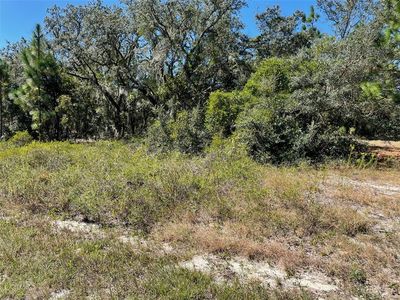 2 SW Winding Hills Rd Lot 2, Dunnellon, FL, 34431