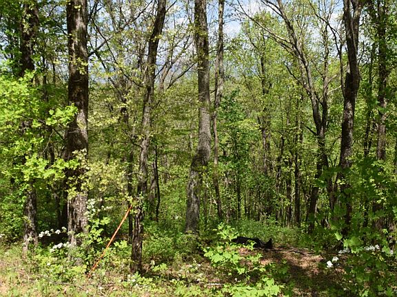 5th image of 189 Hawks Nest Ct